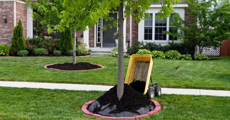 How Many Bags of Mulch in a Yard: The Complete Guide?