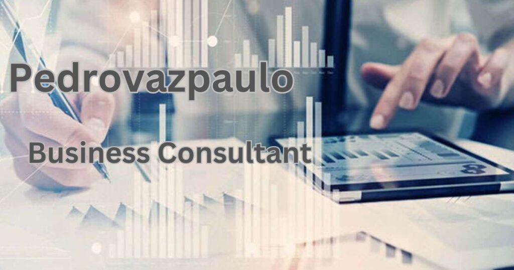 Pedrovazpaulo Business Consultant