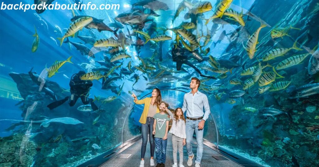 Dubai Aquarium