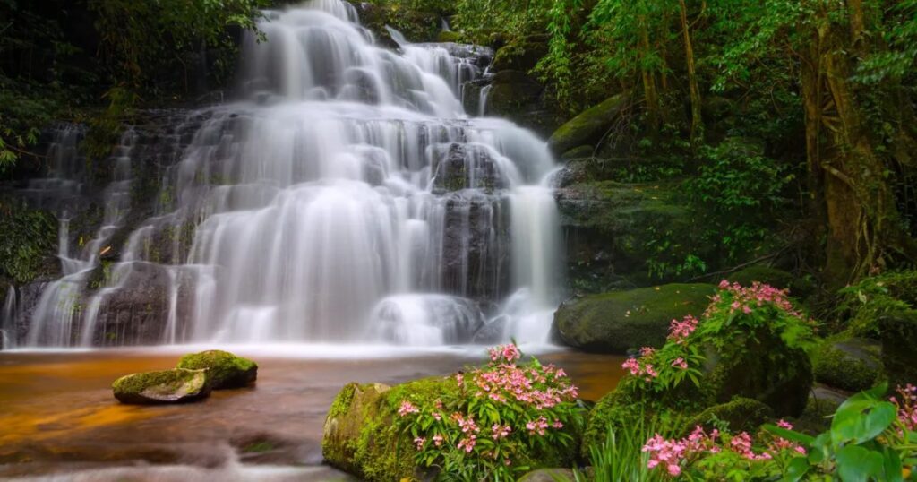 Shorter Excursions to the Waterfalls of Damajagua