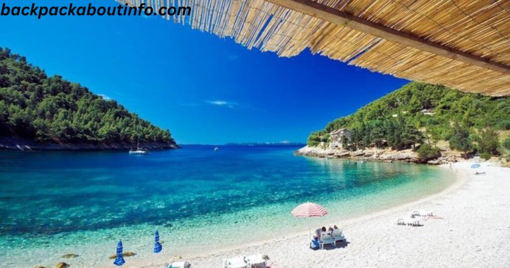 a beach with umbrellas and chairs on a sunny day