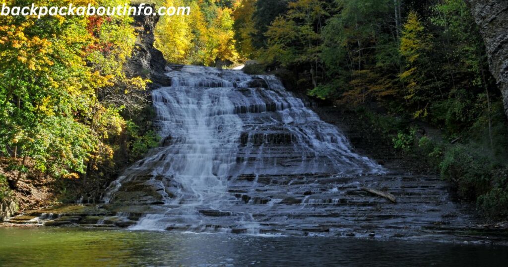 a waterfall in the woods