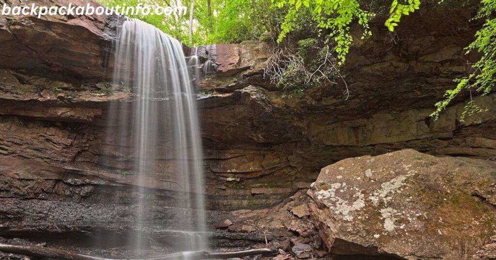 a waterfall in the woods